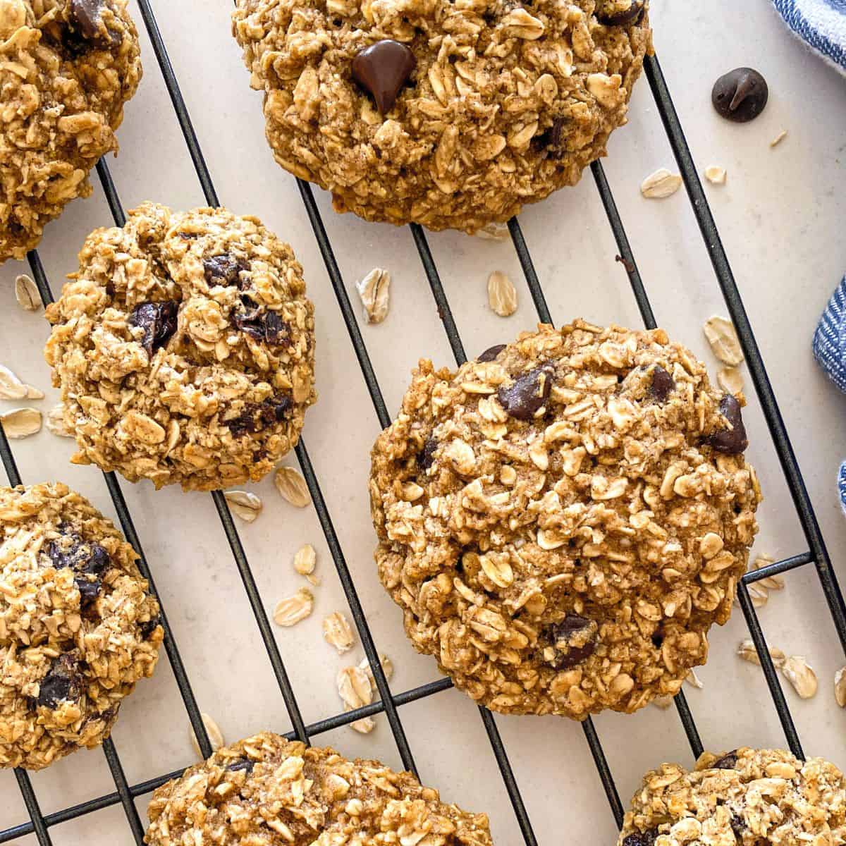 Oatmeal cookies with chocolate chips on cooling rack.