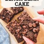 Chocolate black bean cake PIN.