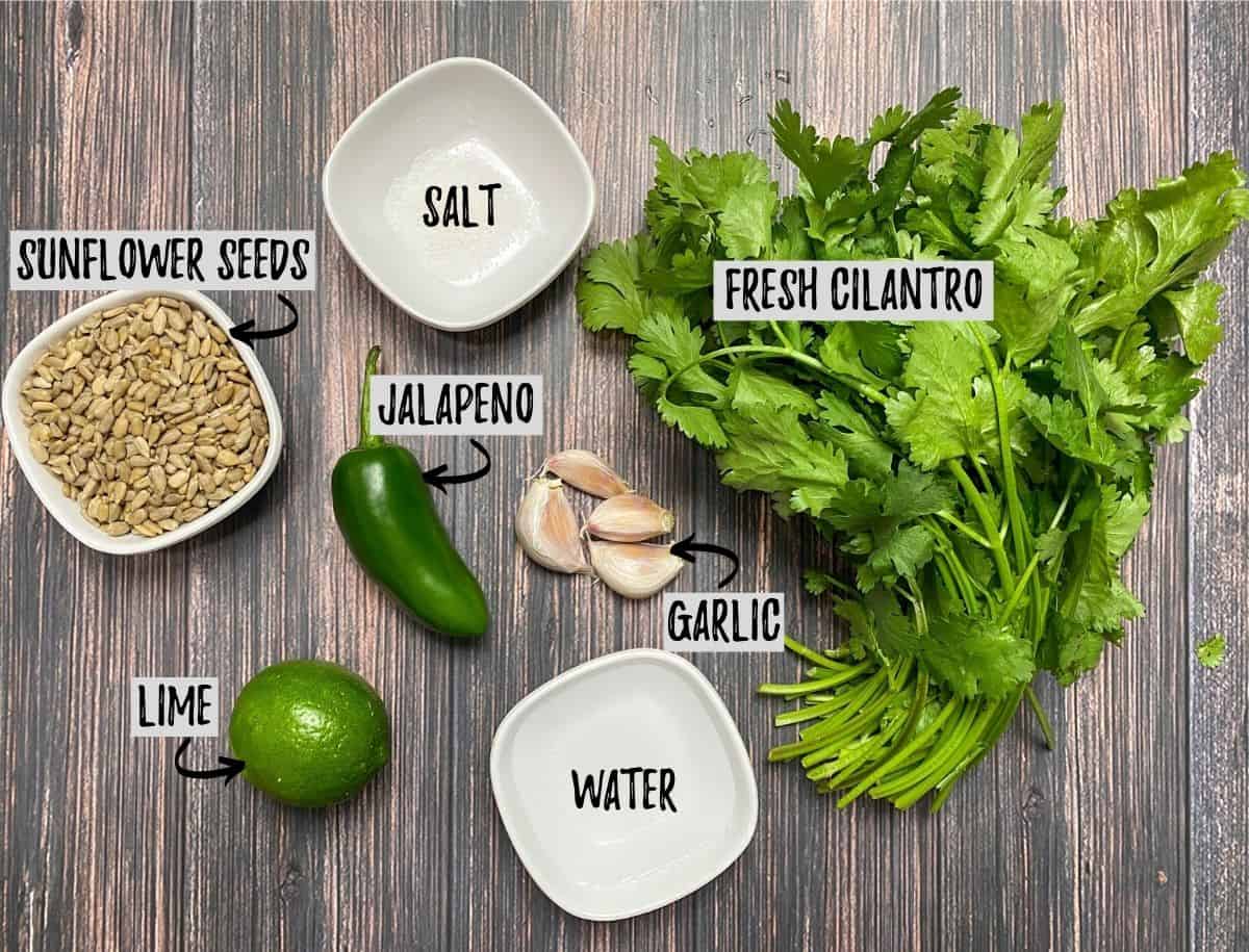 Cilantro, jalapeno, sunflower seeds, lime, garlic and water on brown deck.