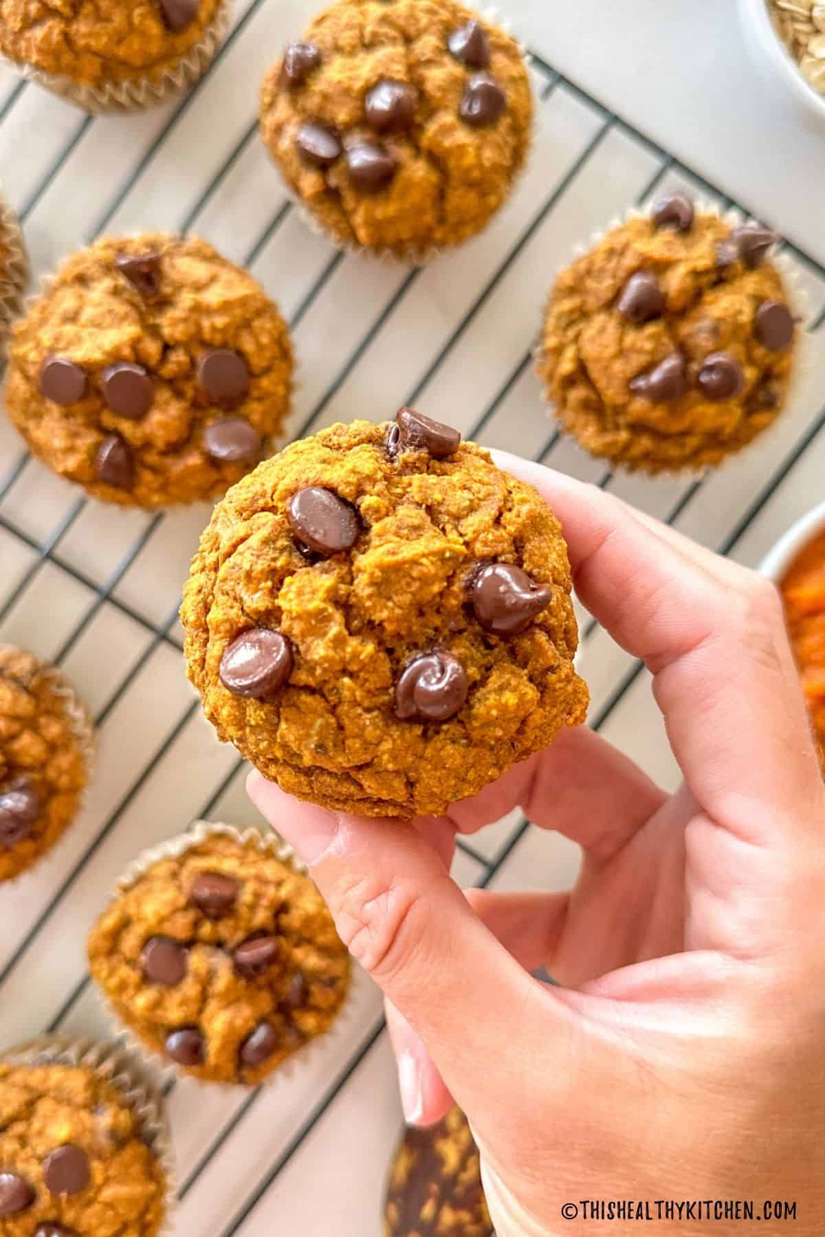 Hand holding up a muffin with chocolate chips above rack with more below.