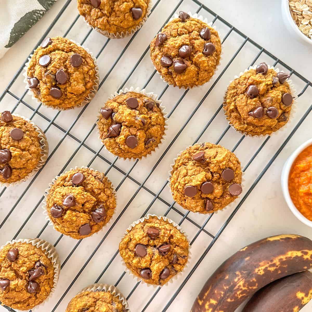 Pumpkin banana muffins with chocolate chips on wire rack.