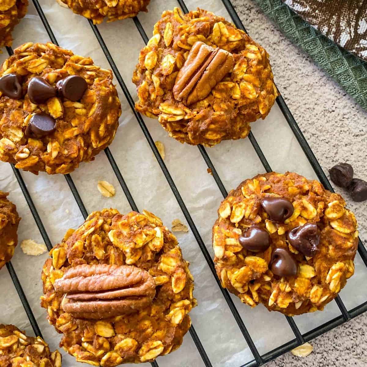 Close up of oatmeal cookies on cooling rack with chocolate chips on top.