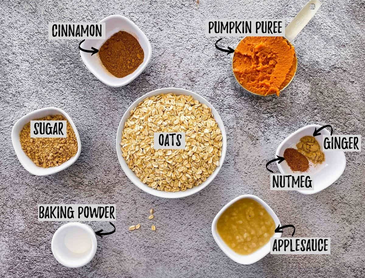 Bowls of oats, spices, pumpkin puree and apple sauce scattered on concreate surface.