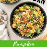 Pumpkin quinoa salad PIN.