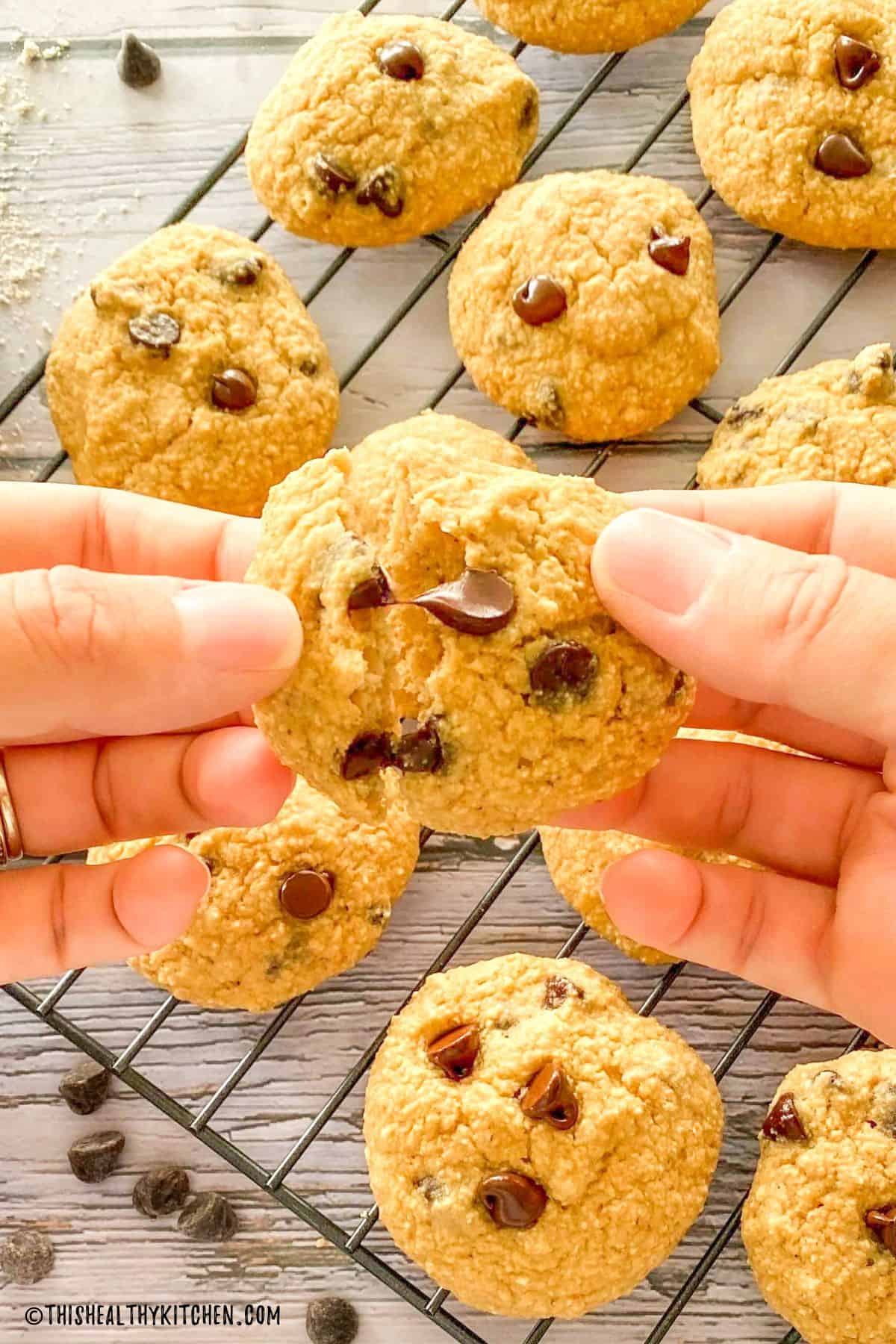Hands breaking a chocolate chip cookie in half.