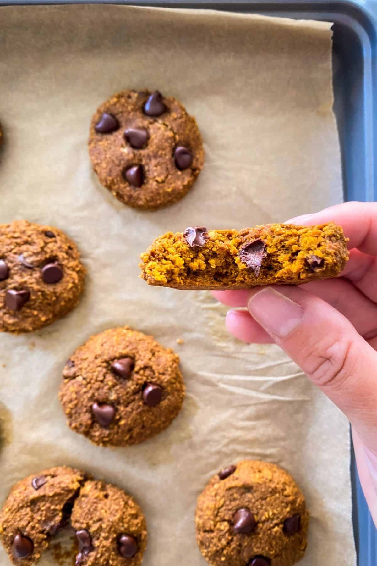 Hand holding up cookie that has bite taken out from it.
