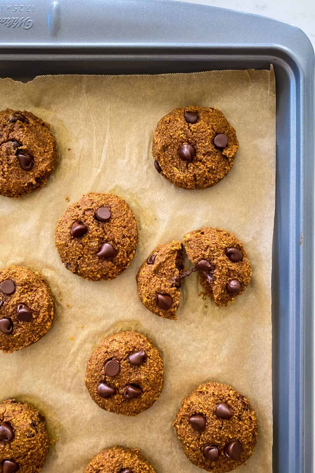 Baked cookies on tray with one cookie split in half and chocolate chip stretching from one half to the other.