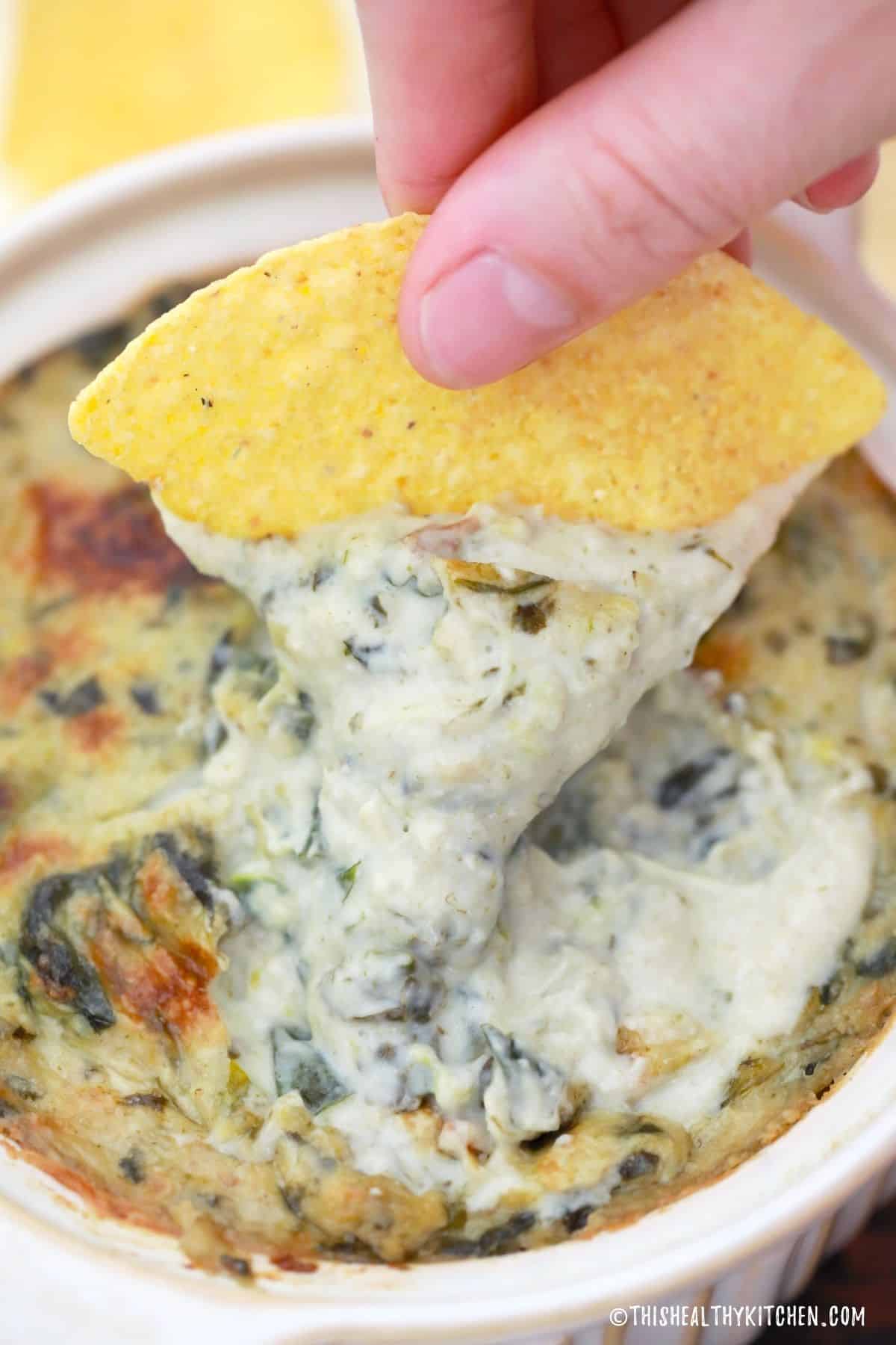 Tortilla chip being dunked into bowl of creamy dip.